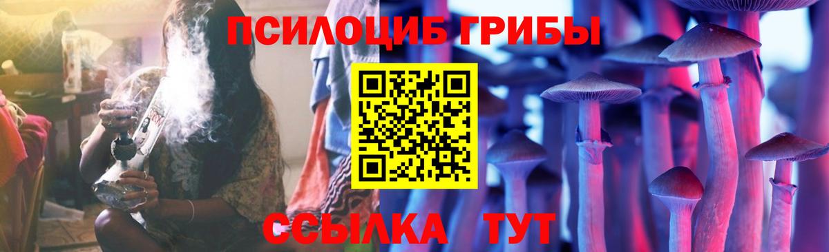 Вятские Поляны  Псилоцибиновые грибы Psilocybe  Вход с VPN 